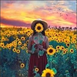 Rherorso751's profile picture. 