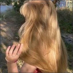 Ytooukvee29845's profile picture. 