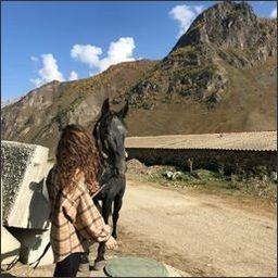 Xehi519's profile picture. 