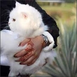 Blartil0317007's profile picture. 