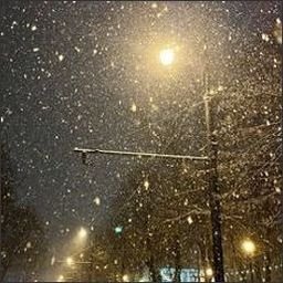 Yfuevea1110436's profile picture. 