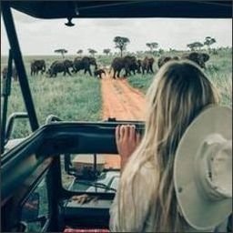 Valaulu226041's profile picture. 