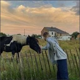 Sudieh485's profile picture. 