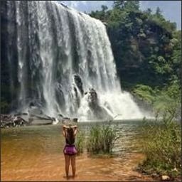 Calvu8242849's profile picture. 