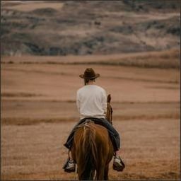 Teauqa615338's profile picture. 