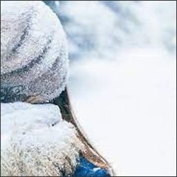 Vrarikas30007's profile picture. 