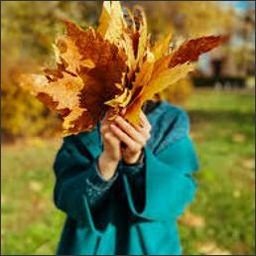 Awblake809's profile picture. 