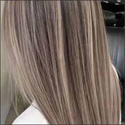 Pliusal2039068's profile picture. 