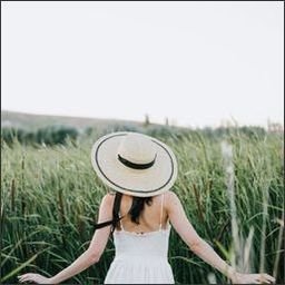 Awprirca57395's profile picture. 