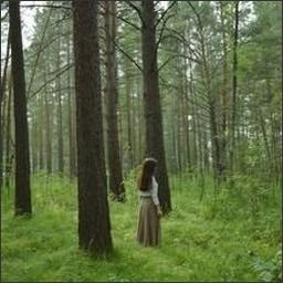 Rarufu4609138's profile picture. 