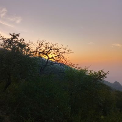 loveislostfor's profile picture. Pakistan is my love