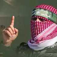 polytdesk's profile picture. Internet Explorer with cyber twist