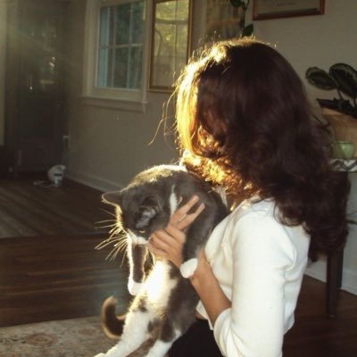 dmq98's profile picture. 