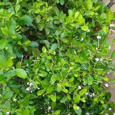 JATNIDesi_'s profile picture. कुछ नहीं 🤣🤣🤣