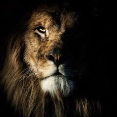 aylntrx's profile picture. 