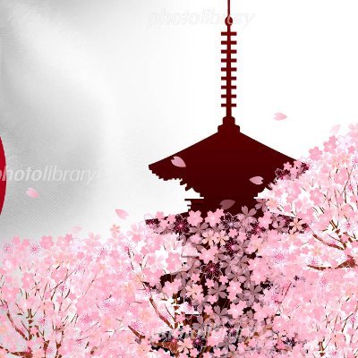 reiwapost's profile picture. 東京都在住｜日本の治安問題｜低浮上