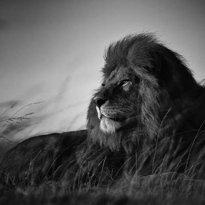 urstruly_DHFM07's profile picture. Jai Babuuuuu💥