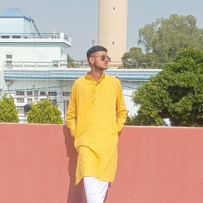 VishwanshK's profile picture. Full Stack Web Developer(TypeScript, Express.js, Next.js, React.js, Node.js)
Open Source Contributor
AI Enthusiast