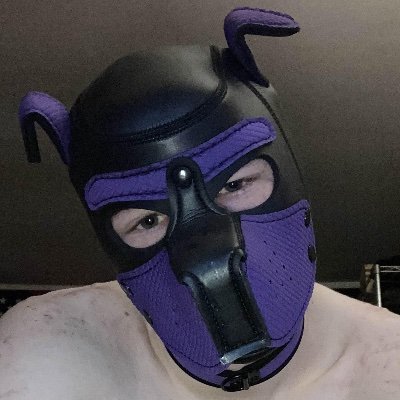 fur_fine_pup's profile picture. 