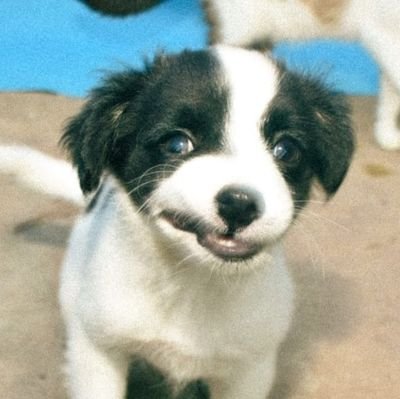 revngerard's profile picture. well - sandra bullock