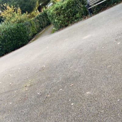 CHutton26283's profile picture. 