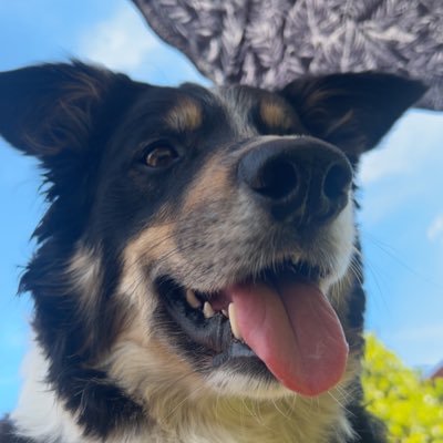 TomC142005's profile picture. 