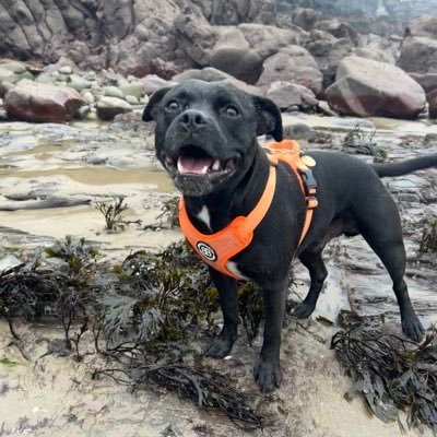 VeronicaDolte1's profile picture. Lover of the sea ⛵