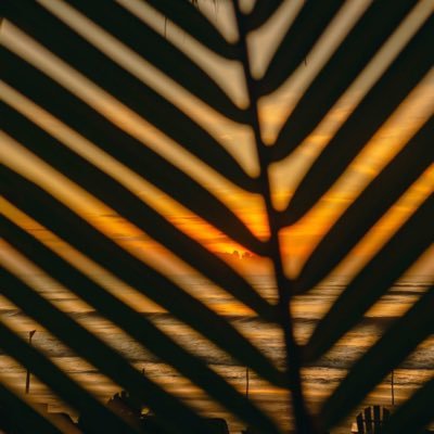 JB_Graham's profile picture. 