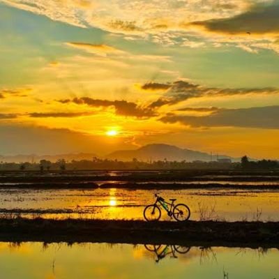 mission_2027_'s profile picture. Socialist Indian