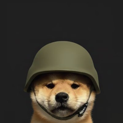 DevWifDexUpdate's profile picture. Every single one of my coins that hit 30k marketcap,I pay dex for them