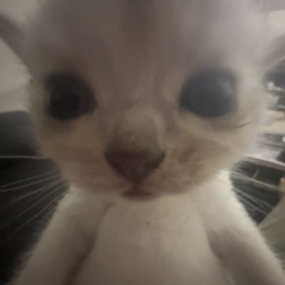 edr4n_'s profile picture. the smallest big thief fan