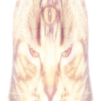 FUCK1MG's profile picture. rushing only gives you the illusion that youre moving on faster