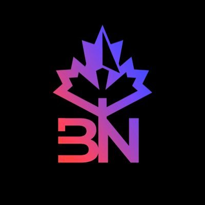 BlockchaiNorth's profile picture. 