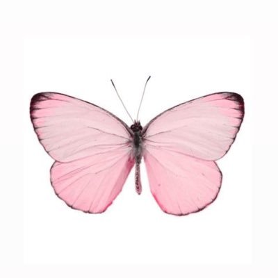 777seltzer's profile picture. fan número uno de sombra el erizo y de las zarigüeyas