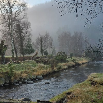 TH4NAA's profile picture. #FreePalestine