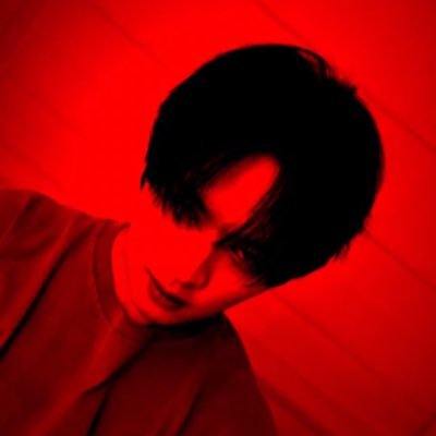 xeno_sta's profile picture. 