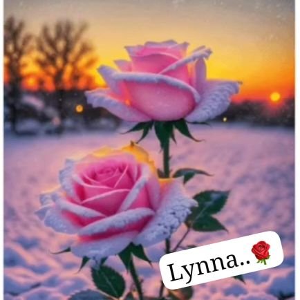 lynna1x's profile picture. @xslhi @E4444 #XVIP @nor3rh @galope2021 @ha2936 @2QQQS  @8jijr #Activegains
@8j88_  @hb_oo11
@fg2g3 https://t.co/SBZHqnOQ5G