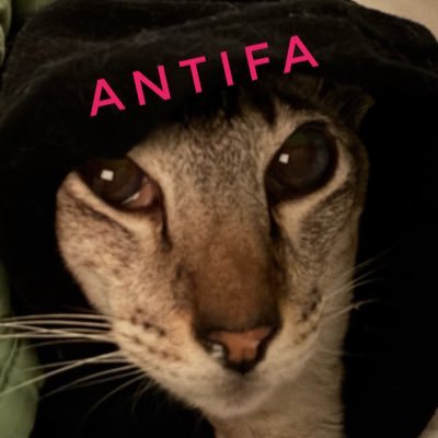 HeidiAbrahamson's profile picture. Progressive. Democratic Socialism. Metalsmith/sculptor/jewelry. Architecture & Art. And, cats. No lists, please! No DMs.