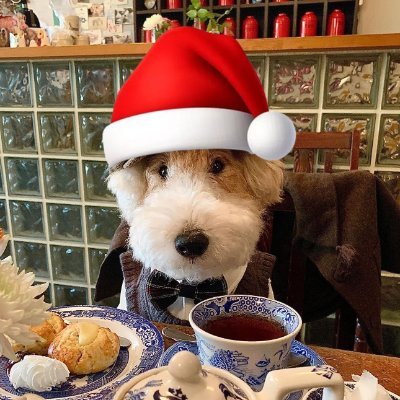 kevRMFC's profile picture. bring back bnb season