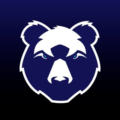 BristolBears's profile picture. 