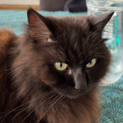 Hitmatjigg's profile picture. fruit du dragon @himatjiggpv