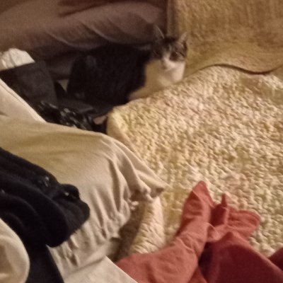 Mar83Y's profile picture. Los escépticos se burlan, pero la mente lógica no puede penetrar ciertos laberintos sin perderse en su arrogancia.