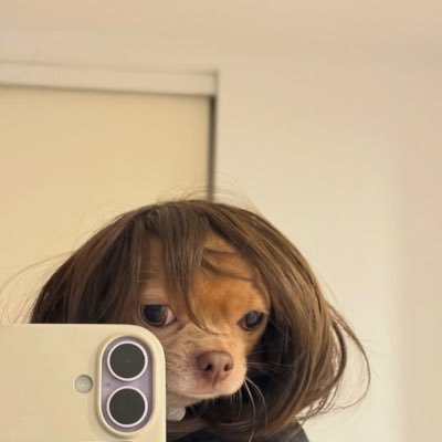 lusandapapu's profile picture. 