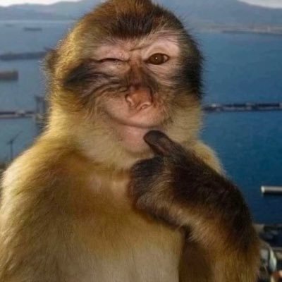 vwwrei's profile picture. 20yo turque marocaine ⵣ GINGERS 💋