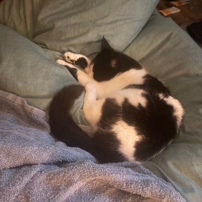 _Ziwd's profile picture. 