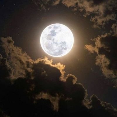 LmazAsl88529's profile picture. gece karanlığımı yoksa insanın içinin karanlığımı