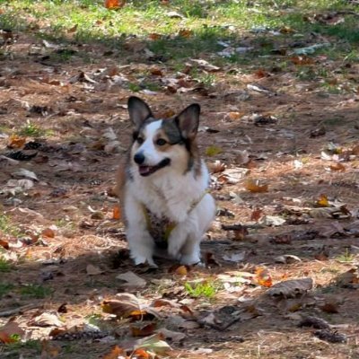 LenaDavis2666's profile picture. Unapologetically me