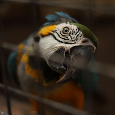 Richelle1994's profile picture. 