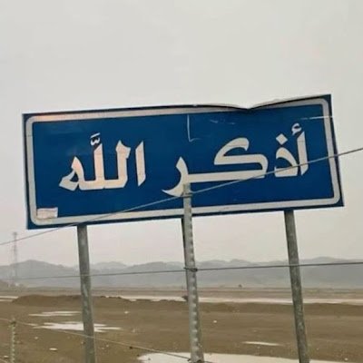 MohamedAlh88529's profile picture. 