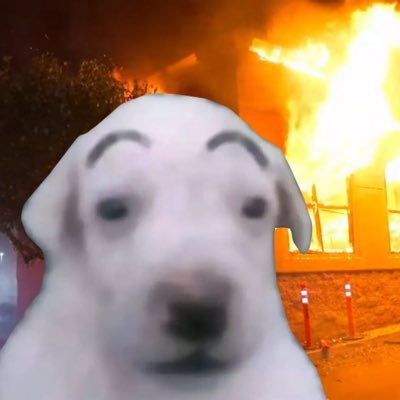 nikkiiforova's profile picture. ⚧️ (she/her) || mdni || only on here to yell at strangers and complain || enjoys early 00s JDM, print media and anarchy || 🇺🇸🔥🇮🇱🔥🇦🇪